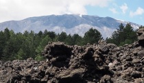 Lava, trees, snow on Mt Etna