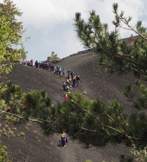 A group of school children climbing nearby